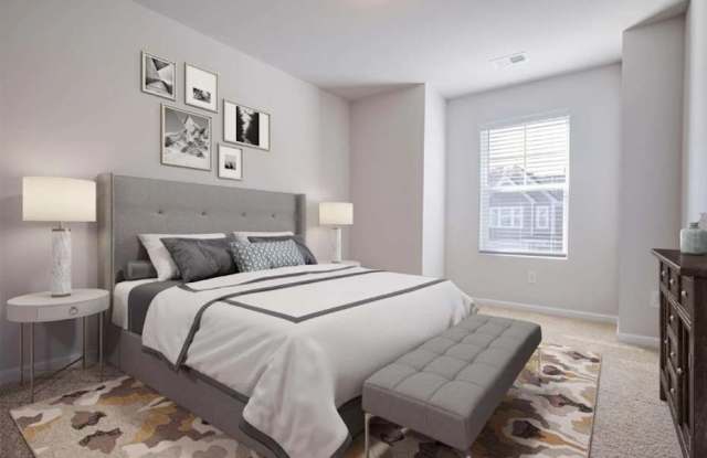 Poplin Trace photos photos