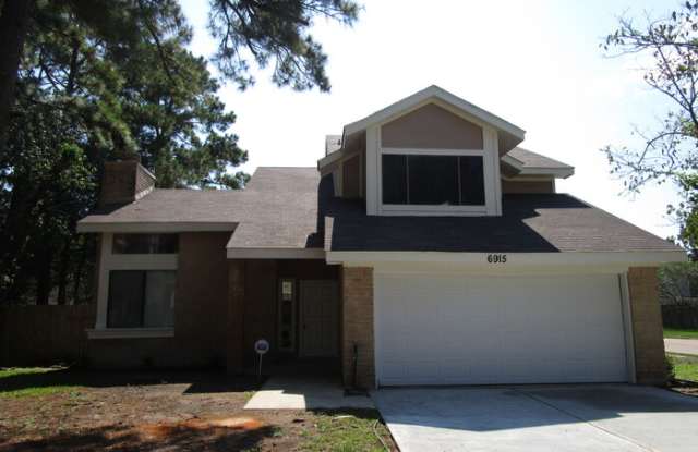 6915 Fawn River Drive - 6915 Fawn River Drive, Harris County, TX 77379
