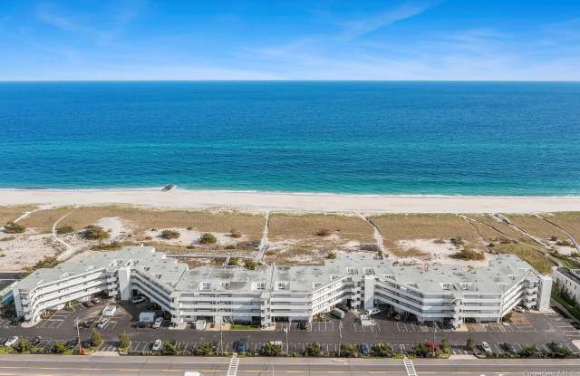 253 dune Gallery 1