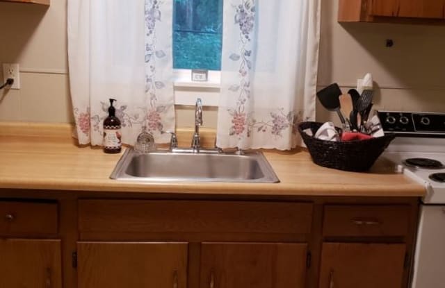 117 Wilkes St 4 - 117 Wilkes Street, Bath, WV 25411