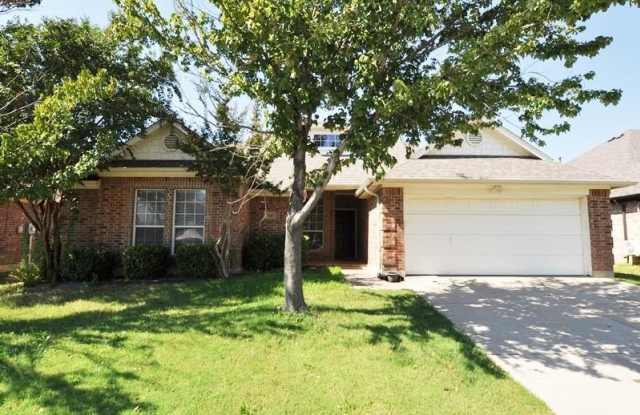 10105 Red Bluff Lane - 10105 Red Bluff Lane, Fort Worth, TX 76177