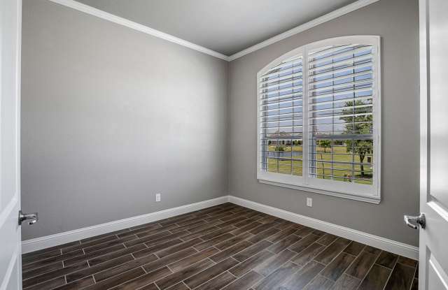 Breathtaking 3 Bedroom Home Overlooking the Community Lake in Celina! Gallery 4