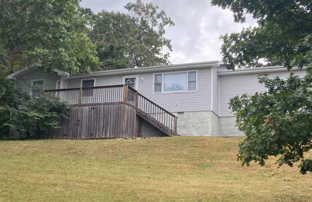 Single Family Home in Branson - 360 Cannon Ball Loop, Taney County, MO 65616