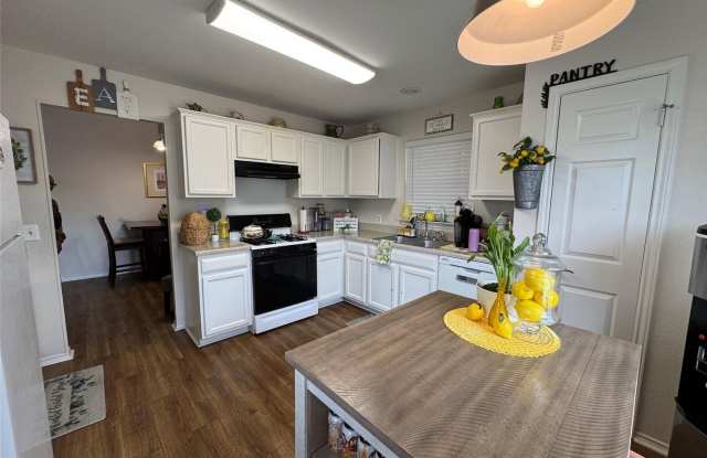 Beautiful Home on Expansive Corner Lot in North Pflugerville! Gallery 3