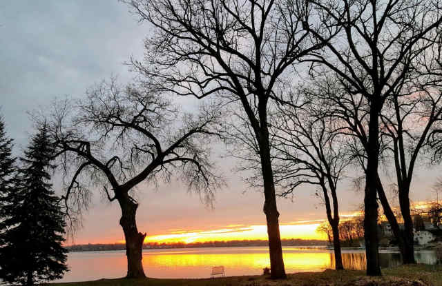 Amazing Minnetonka Lakefront Gated Estate - 170' Flat Shoreline, Sweeping Views, Sandy Beach Gallery 3