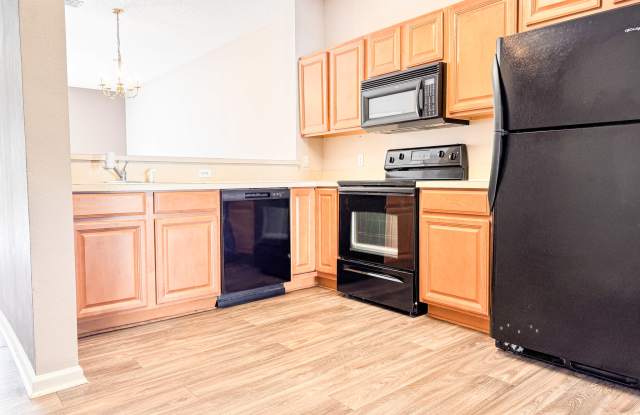 518 Scrub Jay Drive - 1 Gallery 3