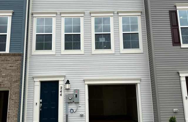 244 TELLURIDE Way photos photos 244 TELLURIDE Way photos photos