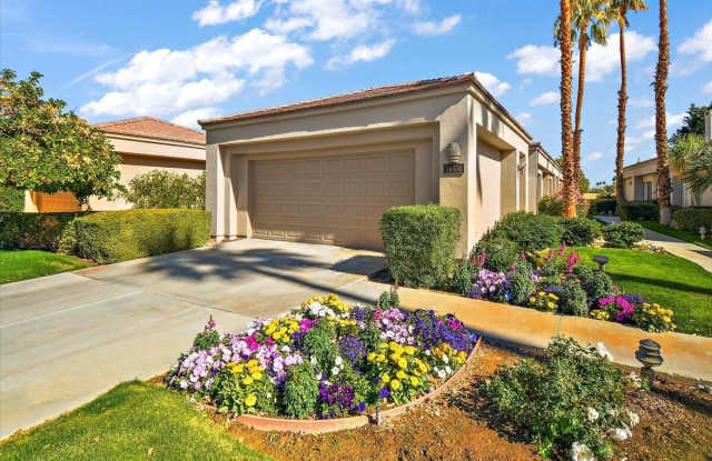 54838 Oak Tree Gallery 2
