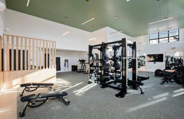 Alta Norra photos photos