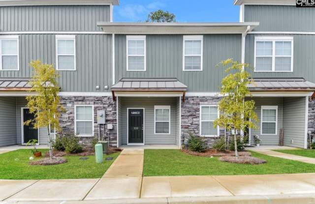 239 Duck Grove Way - 239 Duck Grove Way, St. Andrews, SC 29210