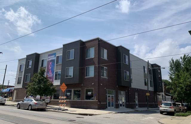 Woodland photos photos