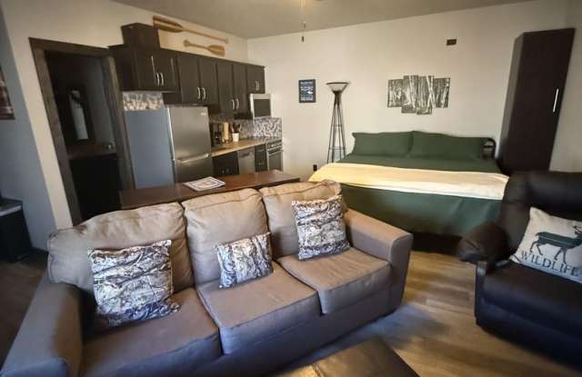 NEW LISTING - ✨ Furnished Studio Apartment – Utilities Included – Branson, MO ✨ near Silver Dollar City photos photos