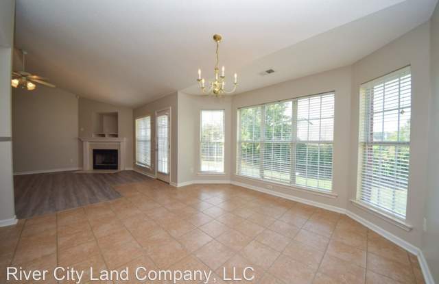 1409 Brimfield Cove Gallery 4