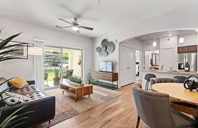 Water Oak photos photos Water Oak photos photos