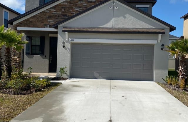 1339 Fort Cobb Terrace - 1339 Fort Cobb Terrace, Wesley Chapel, FL 33543