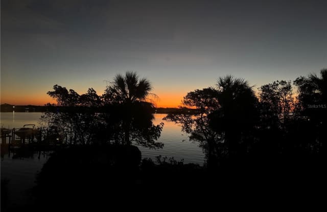 24 MANGROVE POINT photos photos