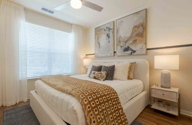 Isla Palmetto Gallery 4