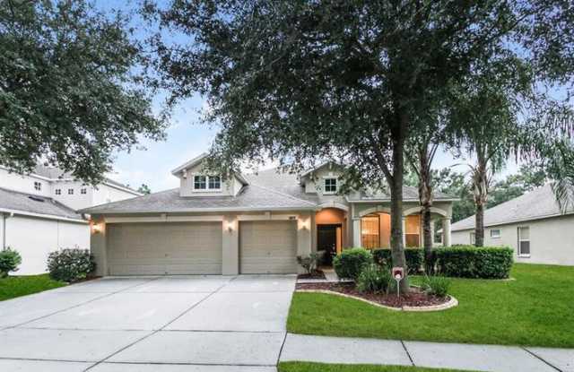 5829 Butterfield Street - 5829 Butterfield Street, Brandon, FL 33578
