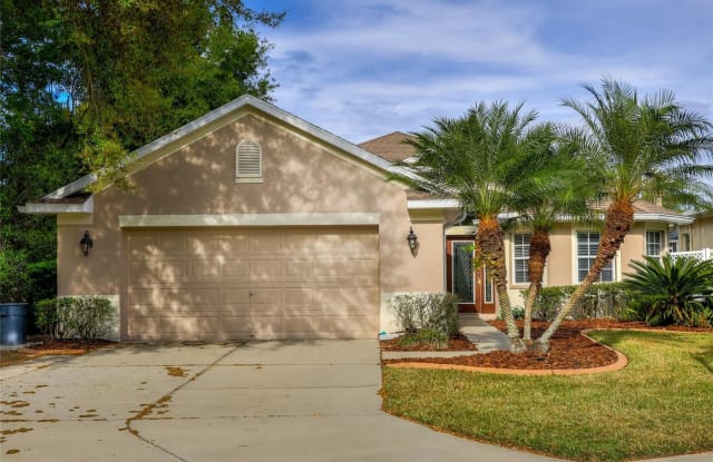6002 CATLIN DRIVE - 6002 Catlin Drive, Tampa, FL 33647