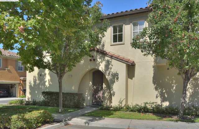 49114 Rose Ter Gallery 2