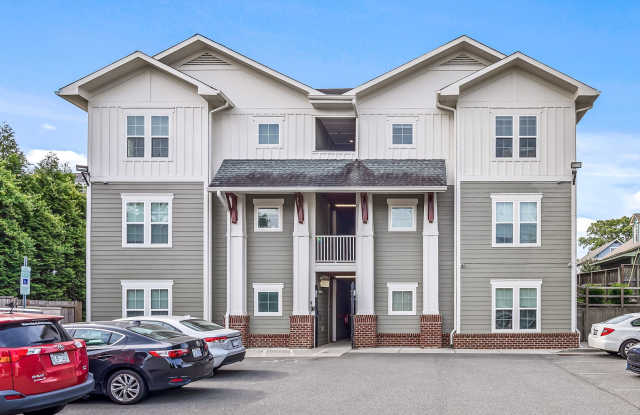 NODA 20 photos photos