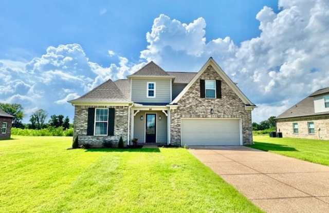 95 Primrose Lane photos photos