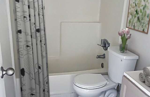 Liberty Apartments Gallery 4