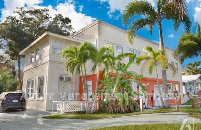317 E Harwood St - 317 Harwood Street, Orlando, FL 32801