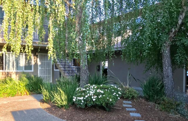 1588 Ontario DR 3 - 1588 Ontario Drive, Sunnyvale, CA 94087