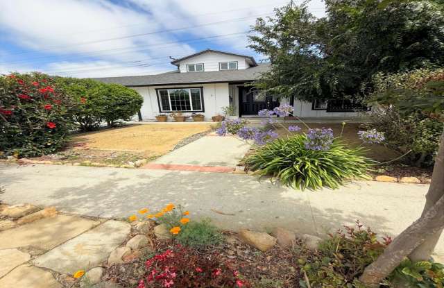 6529 Albatross St photos photos