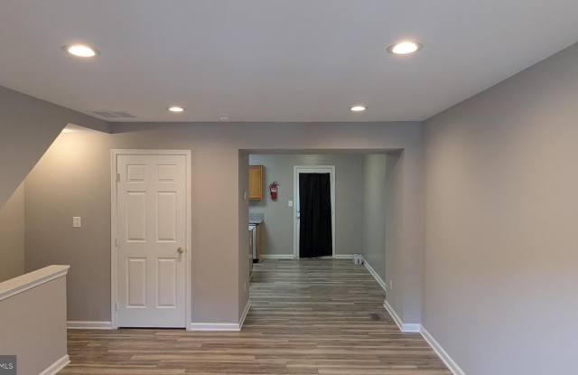 1875 TIGER LILY Circle Gallery 3