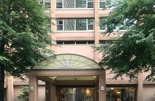 247 East Chestnut Street - 247 East Chestnut Street, Chicago, IL 60611