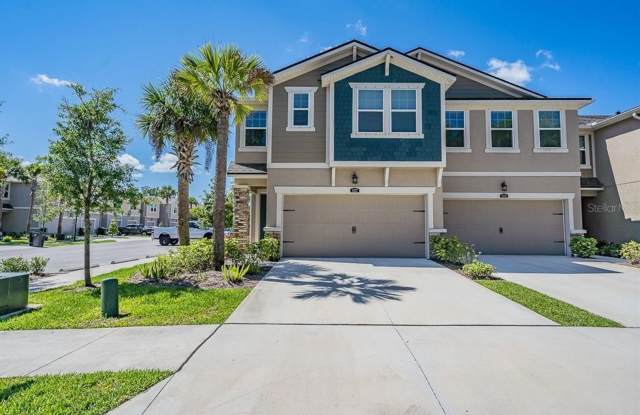 14317 Pondhawk Ln - Spacious 4-Bedroom in Tampa - 14317 Pondhawk Lane, Citrus Park, FL 33625