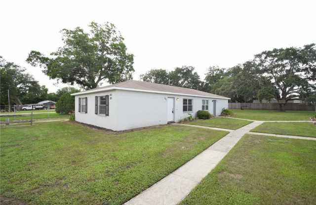 891 SCHOOLHOUSE ROAD - 891 School House Road, Medulla, FL 33813