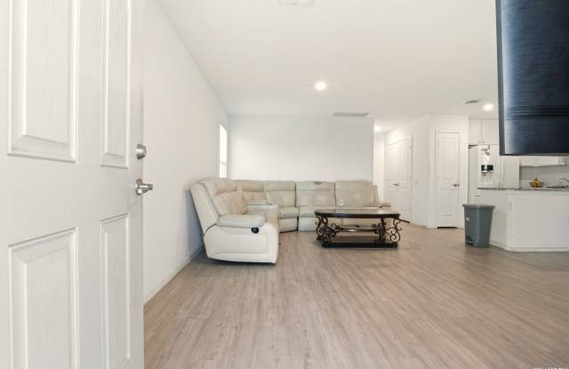 4438 ZOE PASS Gallery 4