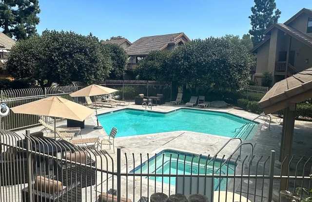 49 Tangelo # 303 photos photos