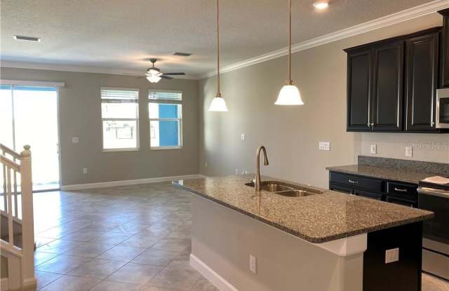 18720 NOBLE CASPIAN DRIVE Gallery 3