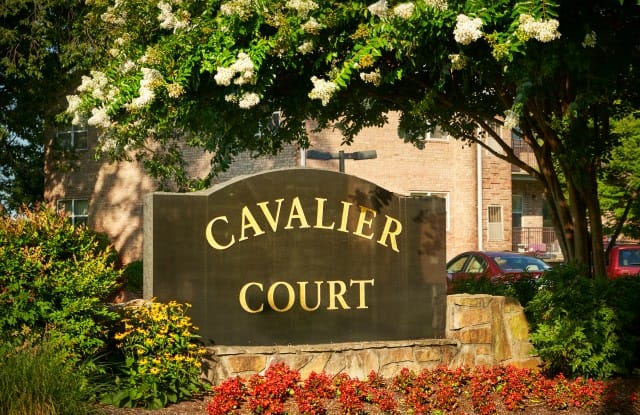 Cavalier Court Gallery 2