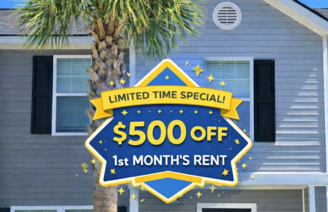 31 SAW photos photos