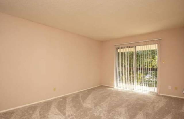 1200 Barton Hills Dr, #110 Gallery 4