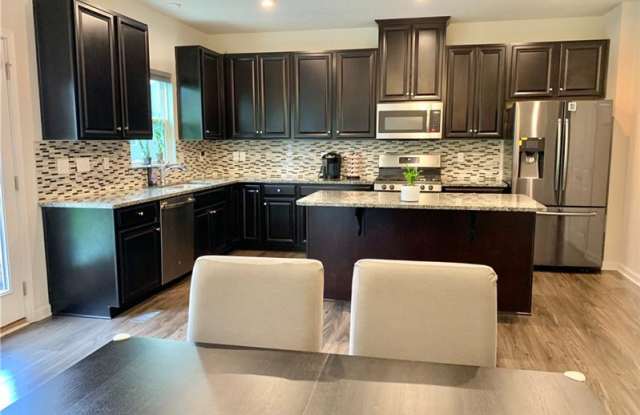 1217 Clear Springs Dr Gallery 4
