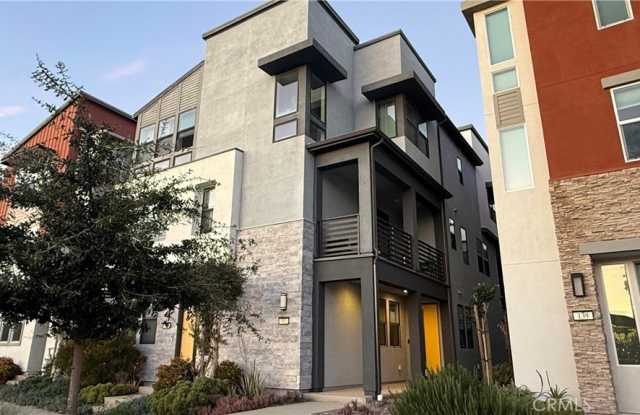 137 Mirth photos photos