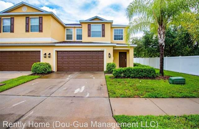 20238 POND APPLE LANE - 20238 Pond Apple Lane, Tampa, FL 33647