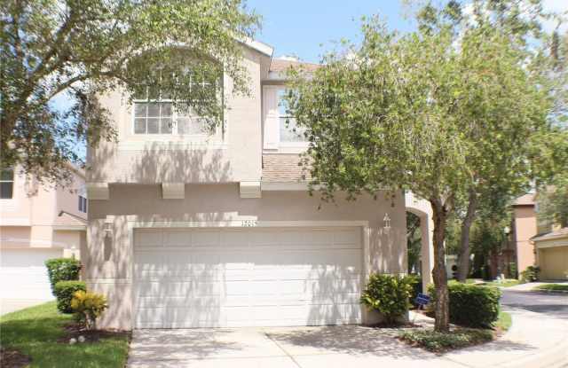 12015 DEACONS CROFT LANE - 12015 Deacons Croft Lane, Westchase, FL 33626