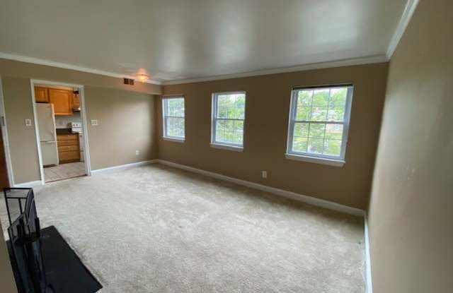Sunny, spacious 1BR/1BA Condo in Arlington's Precious Palisades Condos w/Parking Gallery 4