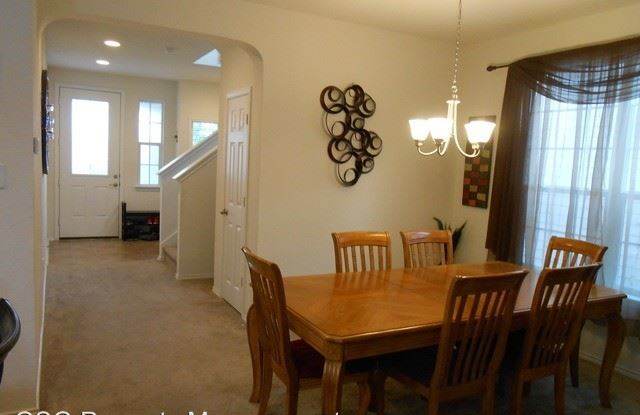 9035 Canter Horse Gallery 3