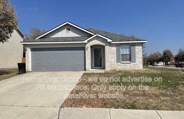 16402 Royal Horse photos photos