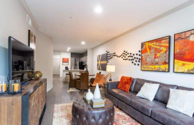 1007 S Congress Ave, #110 Gallery 3