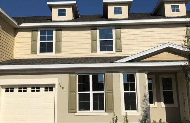 3582 Sanctuary Drive - 3582 Sanctury Drive, St. Cloud, FL 34769