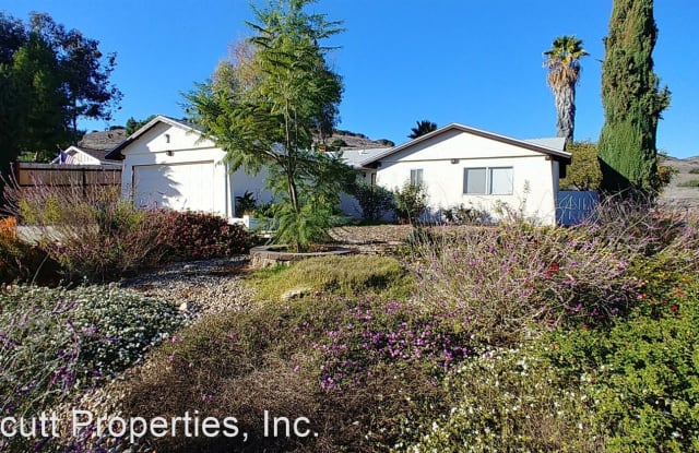 9460 Hornbuckle Dr. - 9460 Hornbuckle Drive, Santee, CA 92071